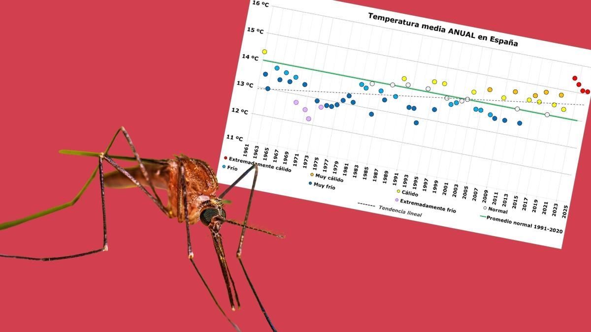 Un mosquito y gráfico del aumento de las temperaturas en España por años.