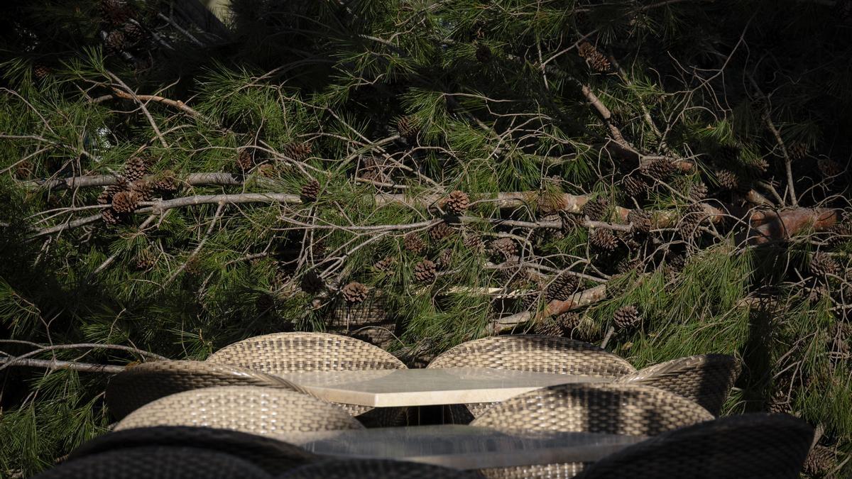Consecuencias del temporal de viento cerca del paseo marítimo de Sant Feliu de Guixols, en Girona.