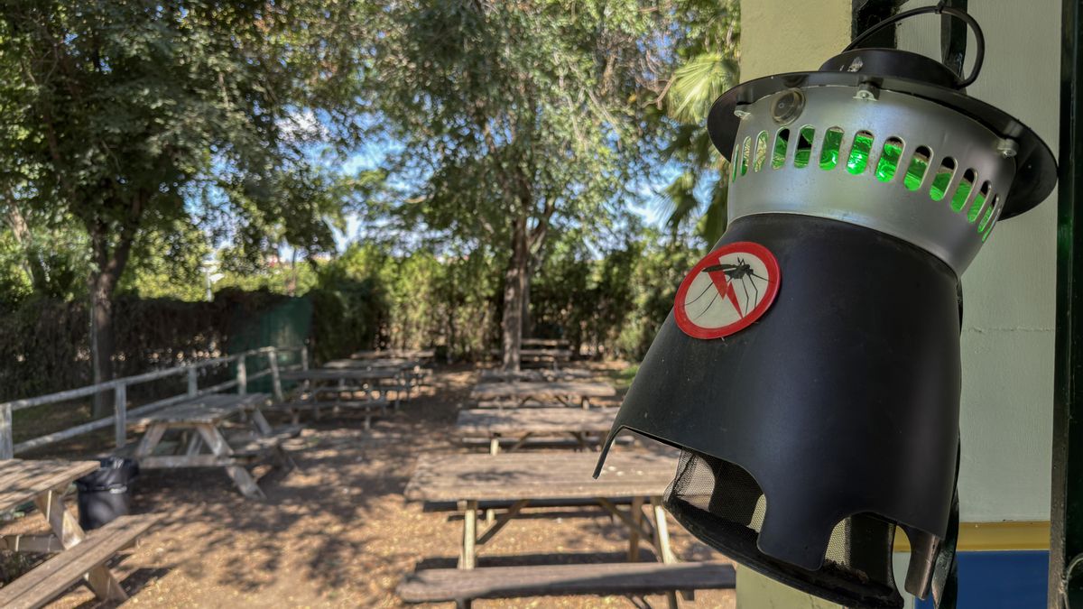 Trampas instaladas por el ayuntamiento de Palomares del Río que controlan si existe presencia de esos mosquitos en la localidad.