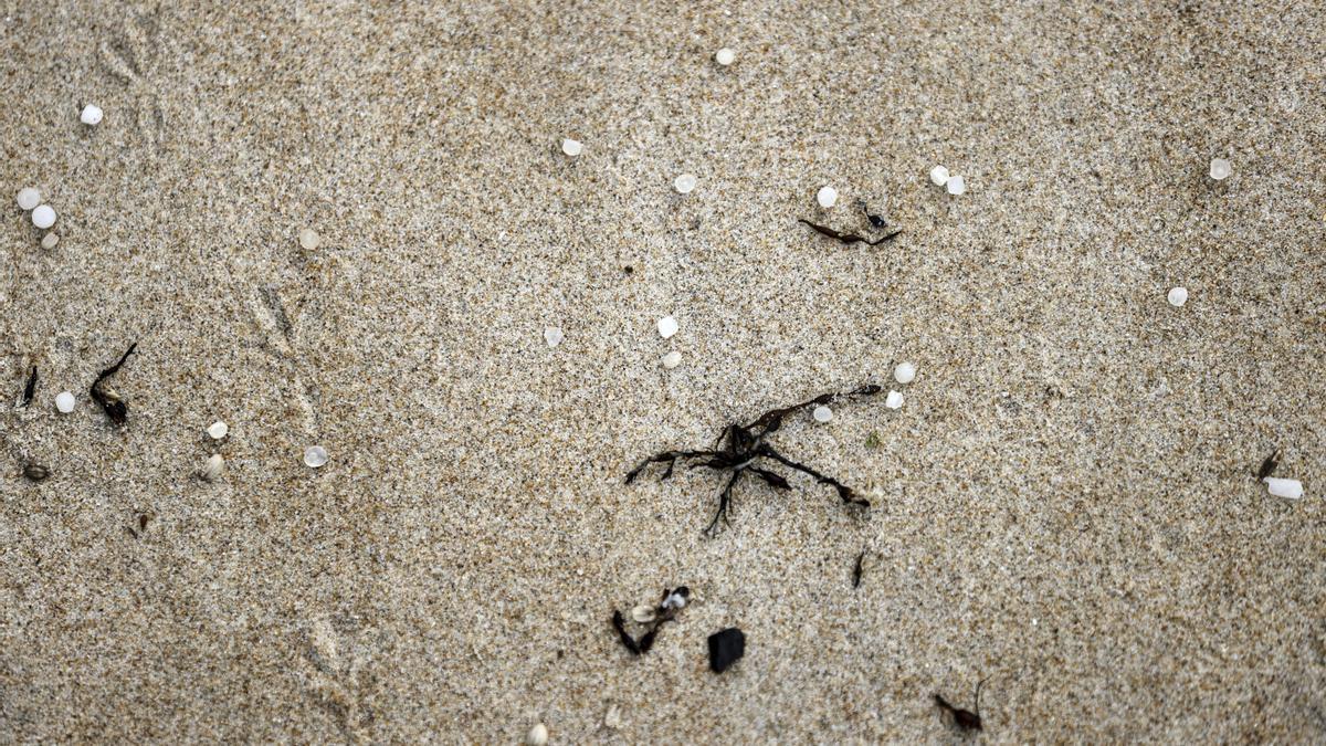 Un puñado de pellets de plástico fotografiados en la arena de la Playa de Ber, en Pontedeume (A Coruña).