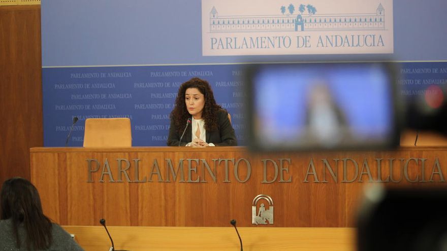 La parlamentaria de IU Inmaculada Nieto, durante su comparecencia de este miércoles en el Parlamento.