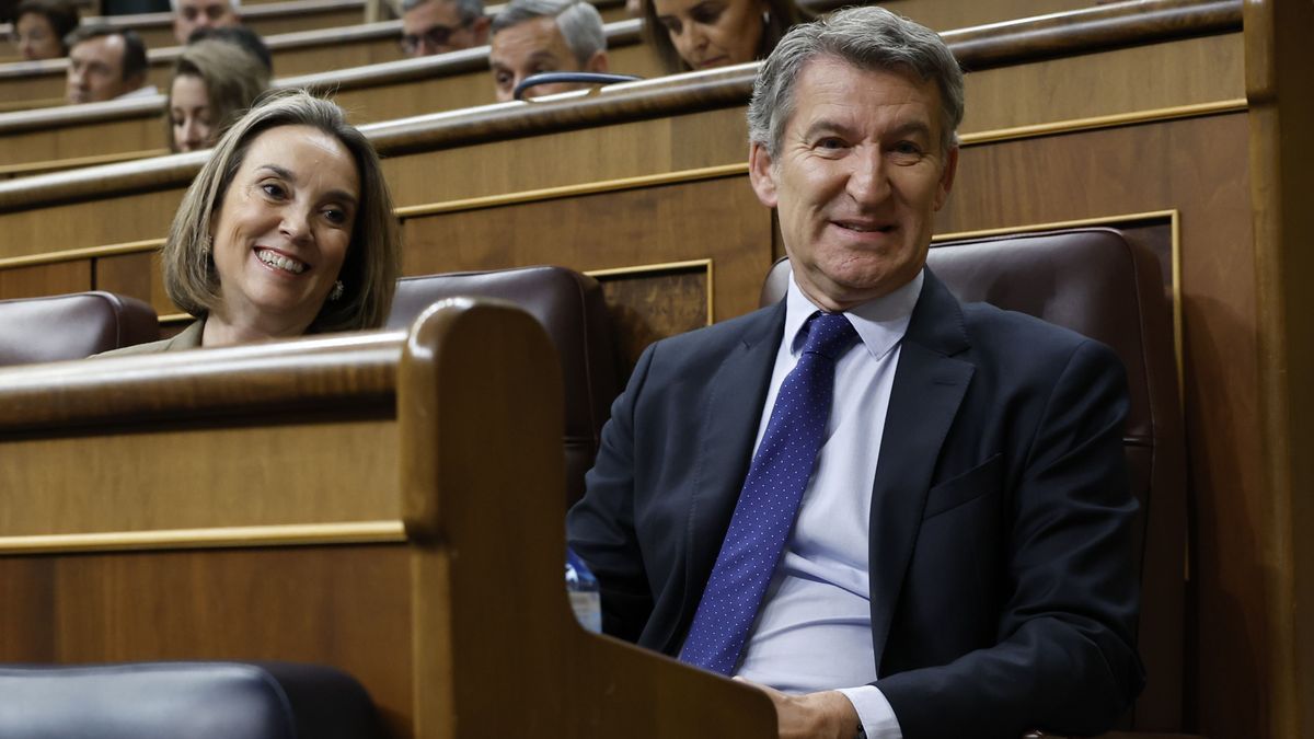 Cuca Gamarra y Alberto Núñez Feijóo, durante la sesión de control al Gobierno en el Congreso