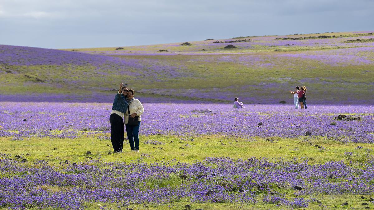Las lluvias darán un respiro y las temperaturas serán más normales a partir de este lunes