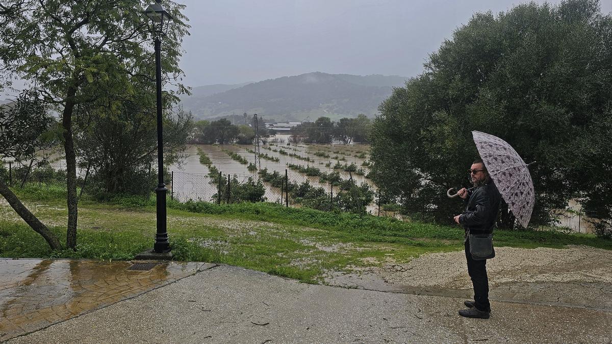 Cultivos inundados en las proximidades del río Guadiaro, que ha desbordado sus márgenes por la acumulación de lluvias, el 28 de enero de 2026, en Cádiz