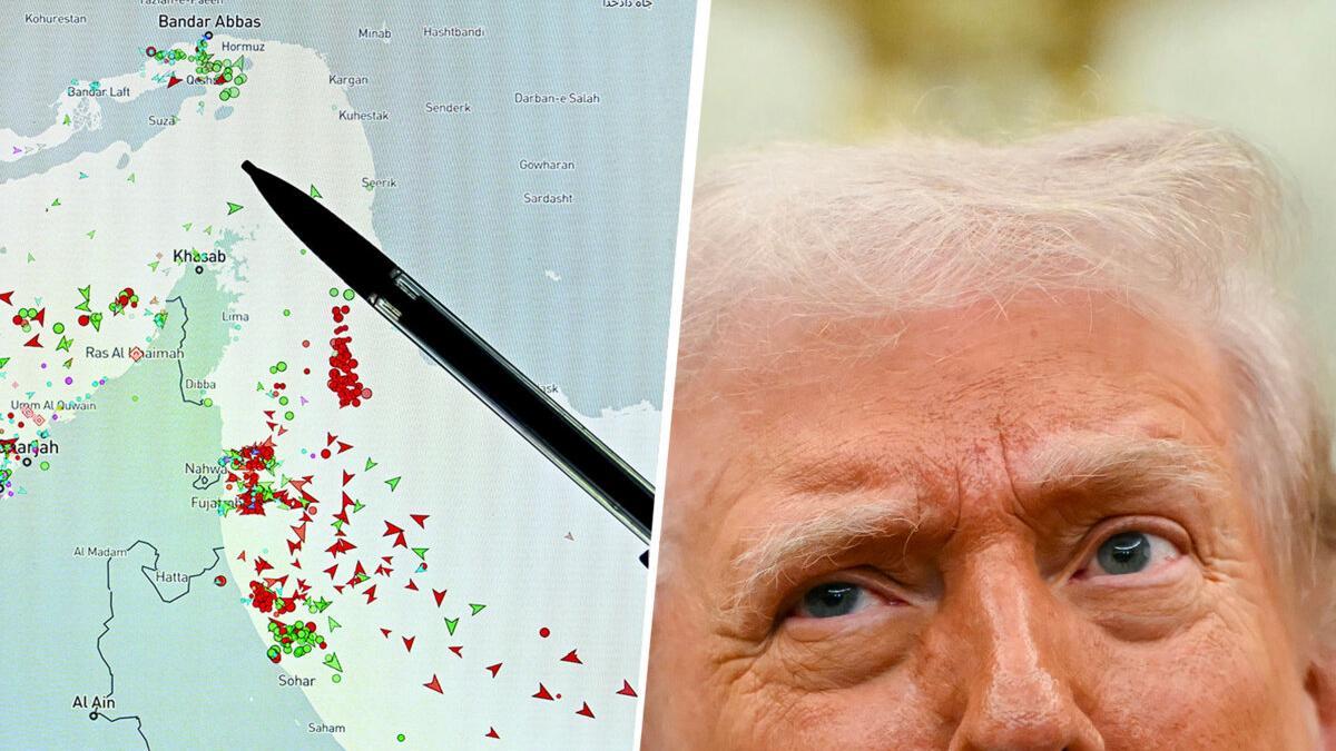 Izquierda: la página web MarineTraffic muestra el tráfico de buques comerciales en el límite del estrecho de Ormuz, cerca de la costa iraní. Derecha: el presidente estadounidense, Donald Trump, en marzo de 2026.