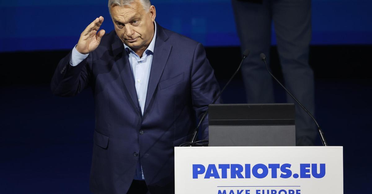 Hungría solicita a Kallas que la UE siga la línea de Trump y declare el movimiento 'Antifa' como "terrorista"
