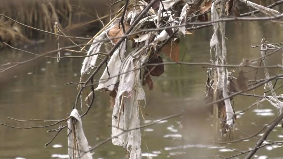 Toallitas en un río