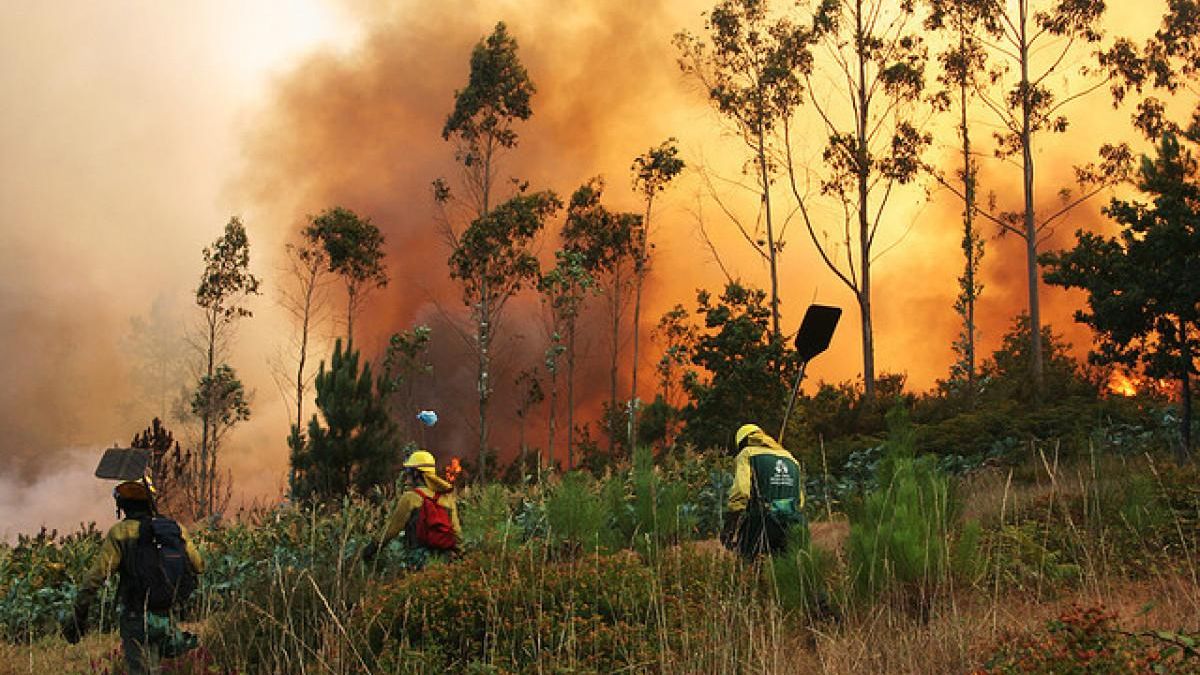 Bomberos forestales en uno de los incendios de Galicia