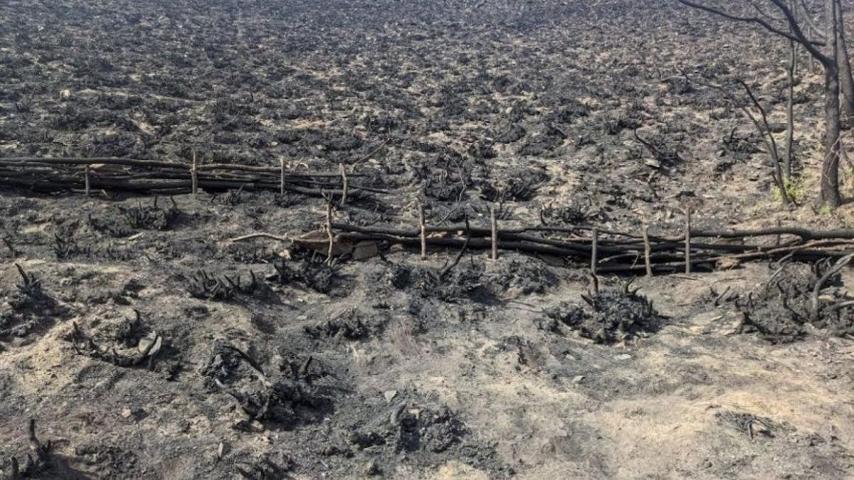 Valdeorras alerta del “caos” por el arrastre de cenizas de los incendios: “Será peor que el fuego”
