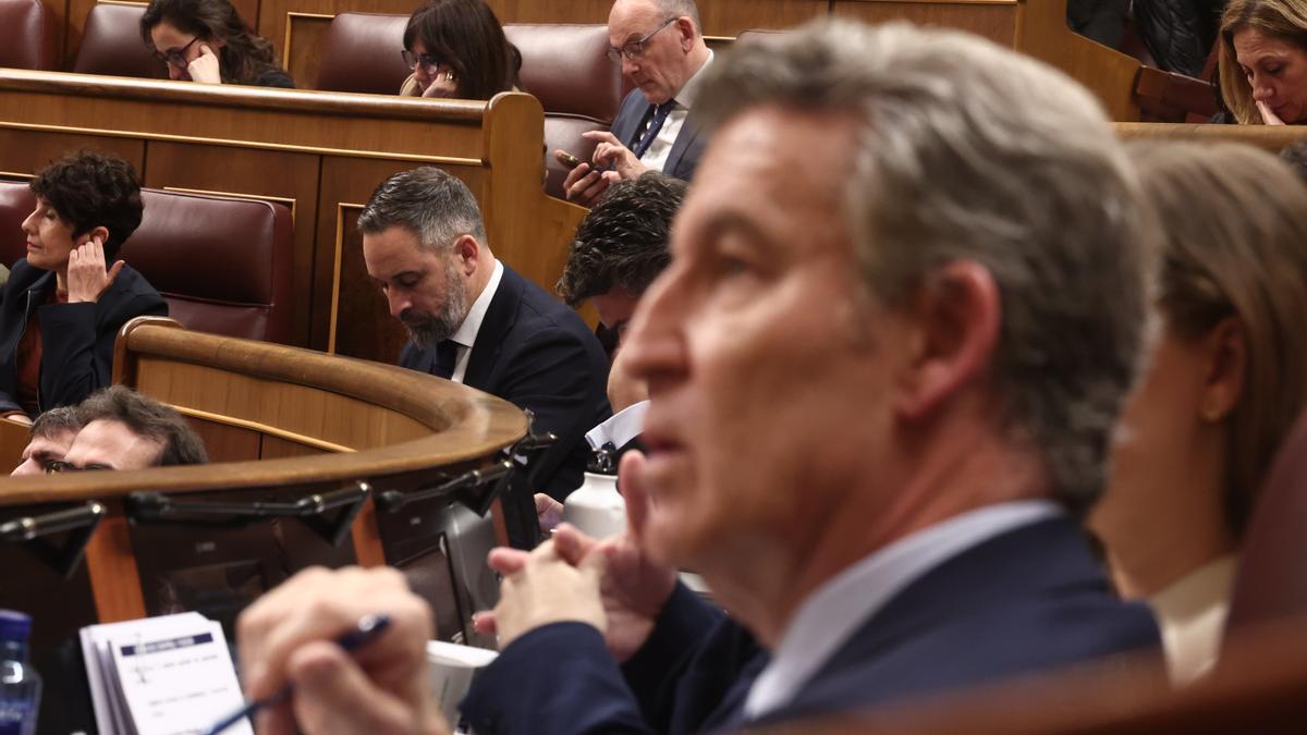El presidente del PP, Alberto Núñez Feijóo, con el líder de Vox, Santiago Abascal, en el Congreso.