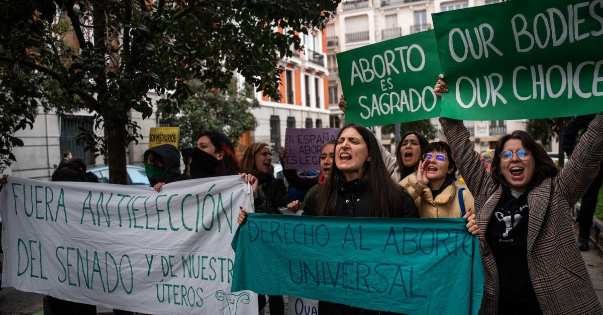 El Consejo de Estado avala blindar el derecho al aborto en la Constitución