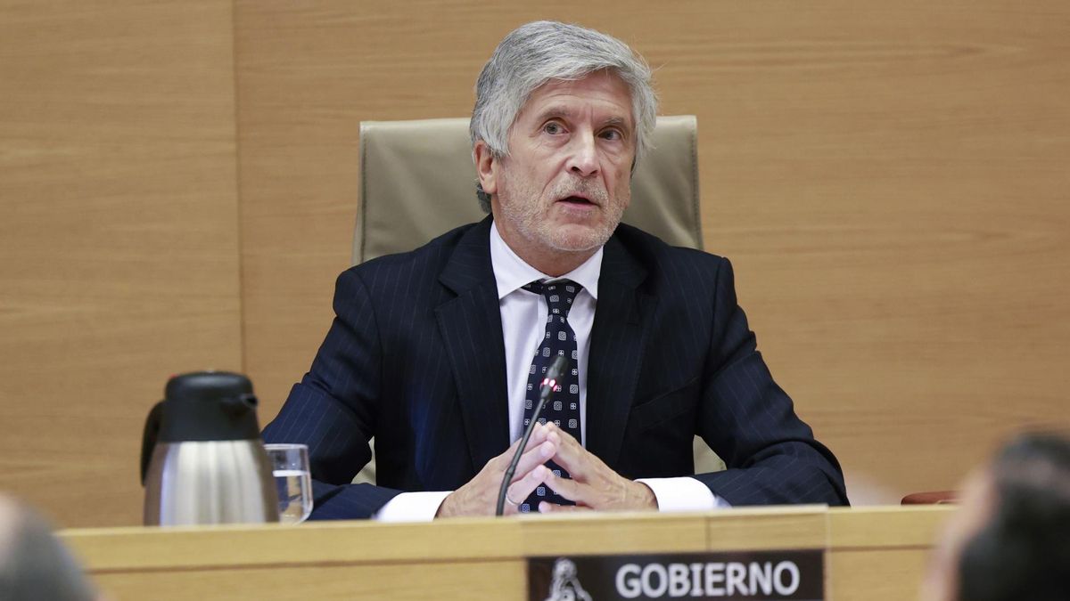 l ministro del Interior, Fernando Grande-Marlaska, comparece este viernes a petición propia en la comisión de Interior del Congreso.