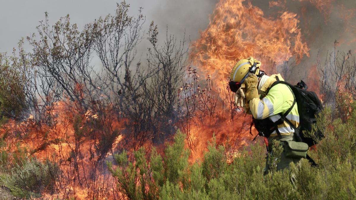 Un brigadista ante una lengua de fuego en el incendio forestal que afecta a Puercas (Zamora), en la Sierra de la Culebra.