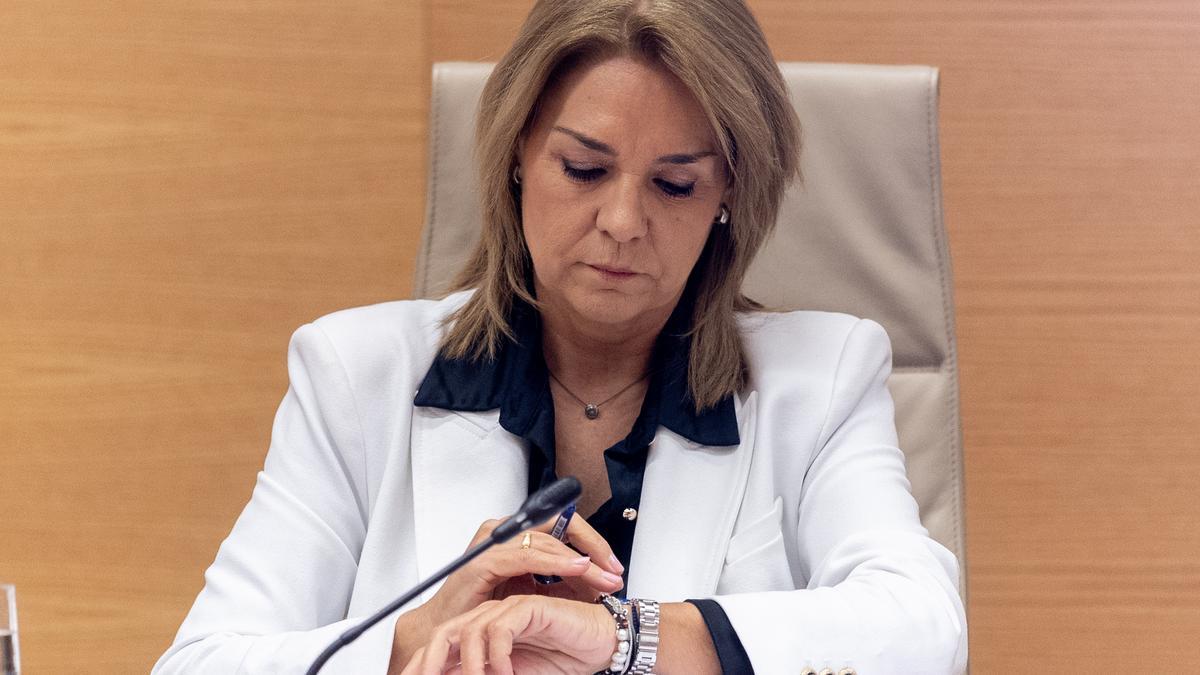La vicepresidenta del Consell y consellera de Servicios Sociales, Igualdad y Vivienda de la Generalitat Valenciana, Susana Camarero, en la comisión del Congreso por la dana