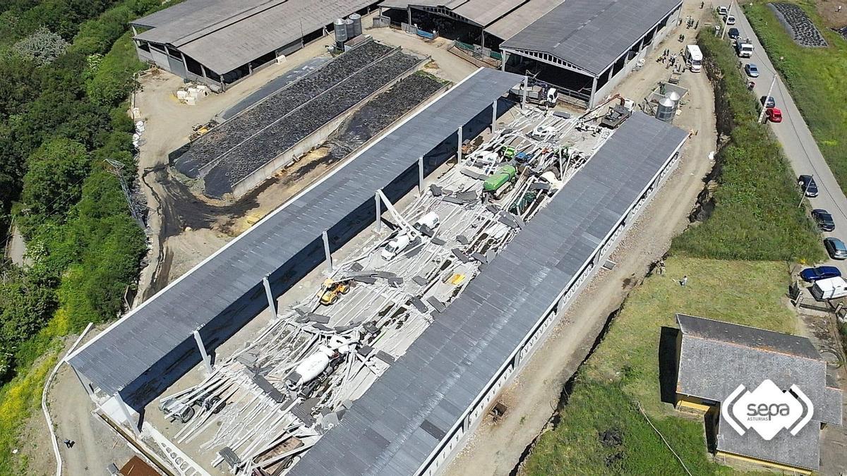 Tres muertos y tres heridos al colapsar una nave ganadera en Coaña (Asturias)