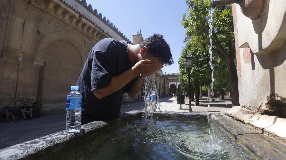 La OMS advierte que las olas de calor causan 540.000 muertes al año en el mundo