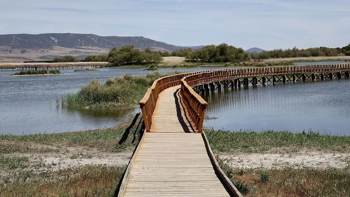 Vista de las Tablas de Daimiel, a 26 de abril de 2023, en Ciudad Real, Castilla- La Mancha (España).