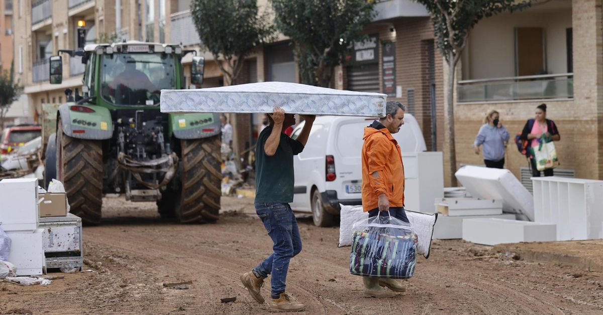 ¿Cómo se pueden pedir las ayudas directas por la dana aprobadas por el ...