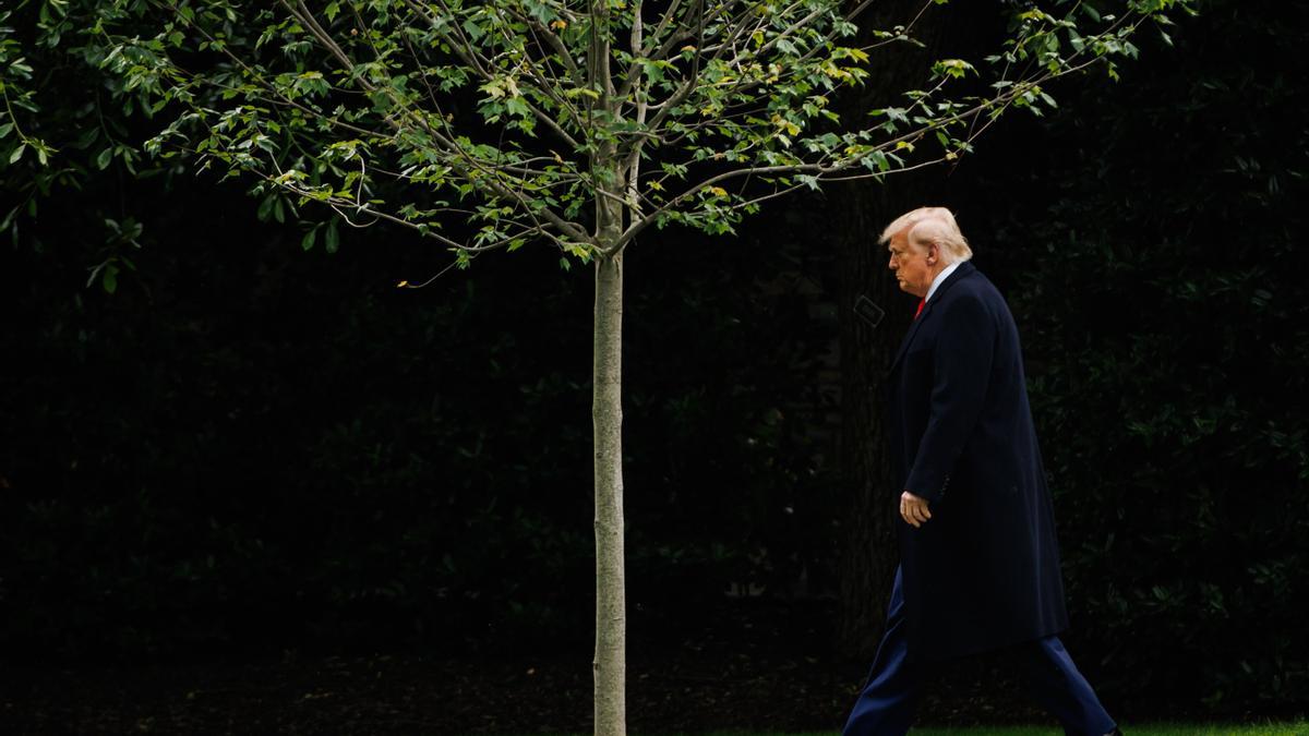 Geoeconomía, el ave fénix capitalista que surge tras el fracaso del neoliberalismo