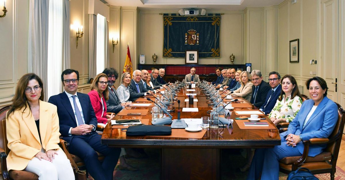El TC decidirá si da la mayoría a los progresistas del CGPJ en los ...