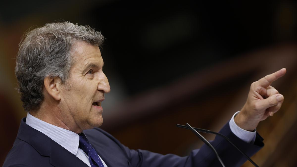 El líder del PP, Alberto Núñez Feijóo, interviene en el pleno en el Congreso de los Diputados este miércoles.