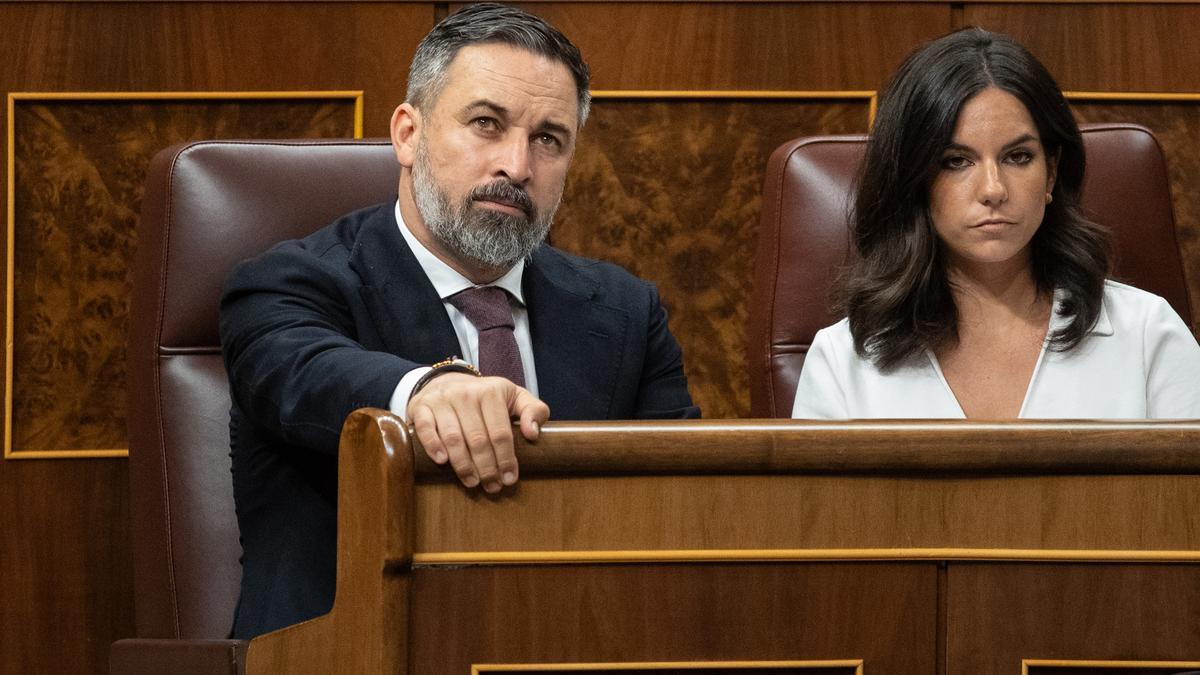 El líder de Vox, Santiago Abascal y la portavoz de Vox en el Congreso, Pepa Millán, durante una sesión plenaria.
