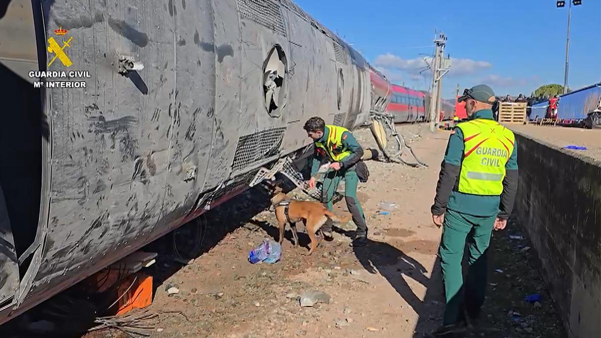 Unos agentes de la Guardia Civil rastrean este martes con un perro el exterior de uno de los vagones siniestrados.