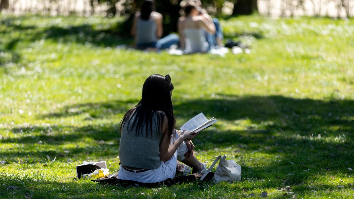 Una persona leyendo en un parque en Madrid.