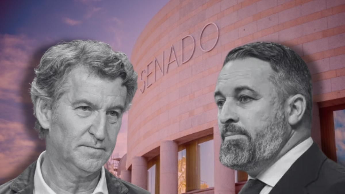 Feijóo y Abascal negocian una alianza en el Senado con la que lograr un poder nunca visto para la derecha