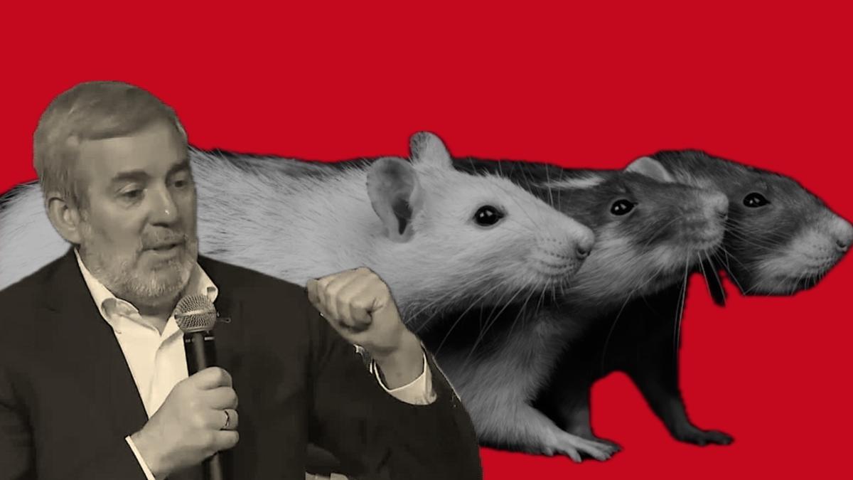 El presidente canario, Fernando Clavijo, autor de una teoría sin fundamento sobre las ratas portadoras de hantavirus.