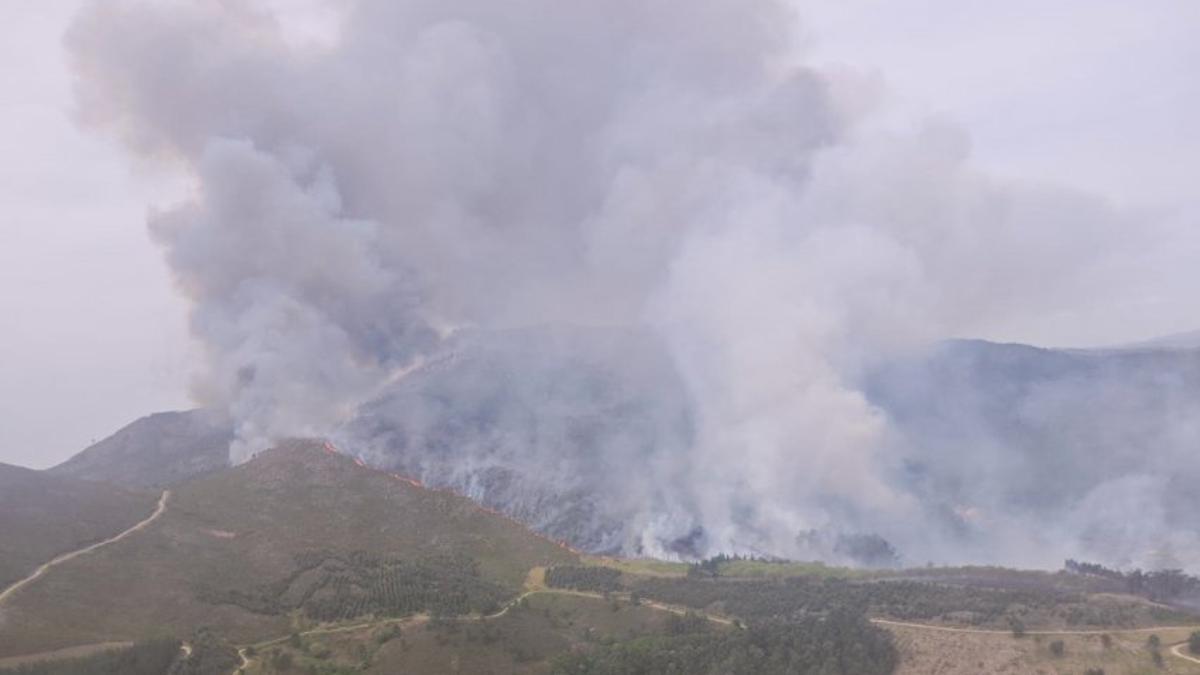 Incendios en abril en Galicia: el fuego confirma las alertas climáticas