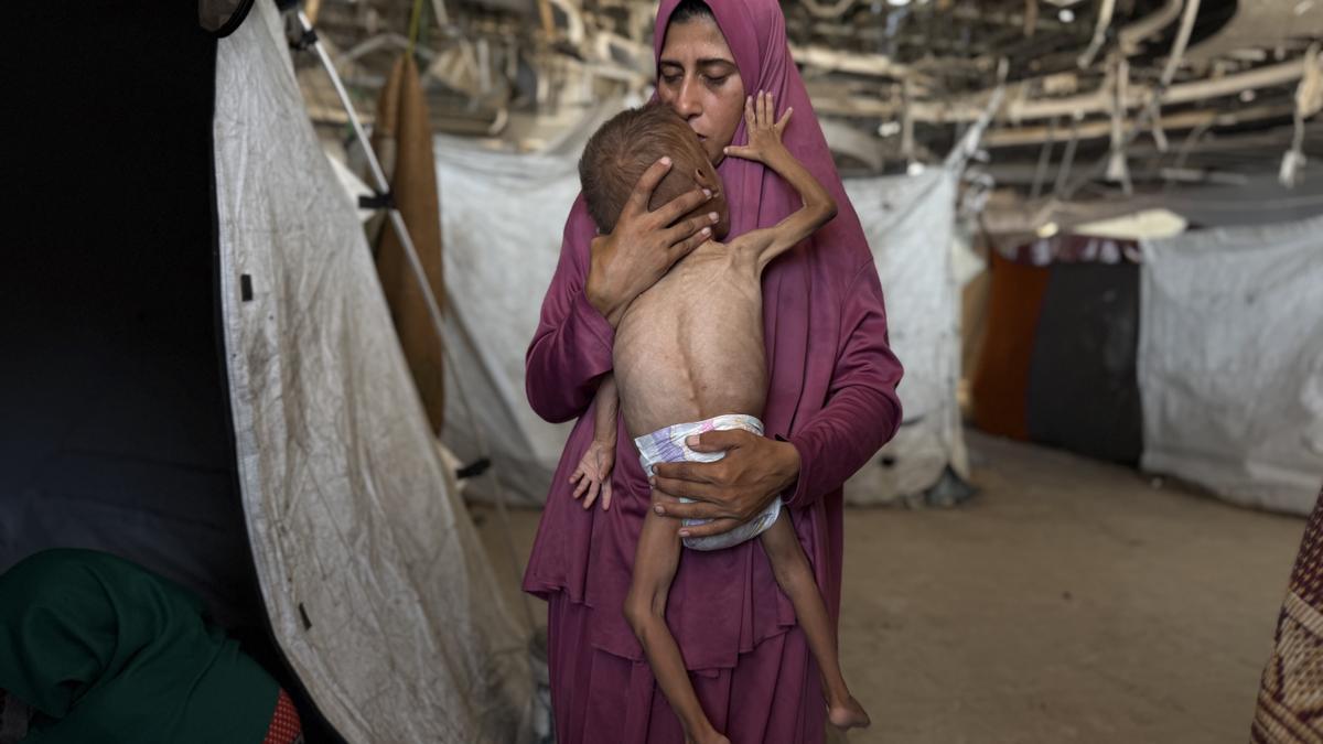 Vías para ayudar a Gaza ante la inacción de la comunidad internacional