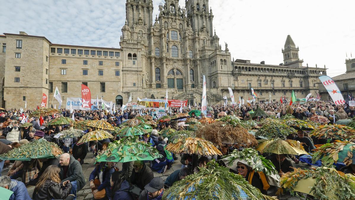 Miles de personas protestan en Santiago contra Altri simulando un bosque