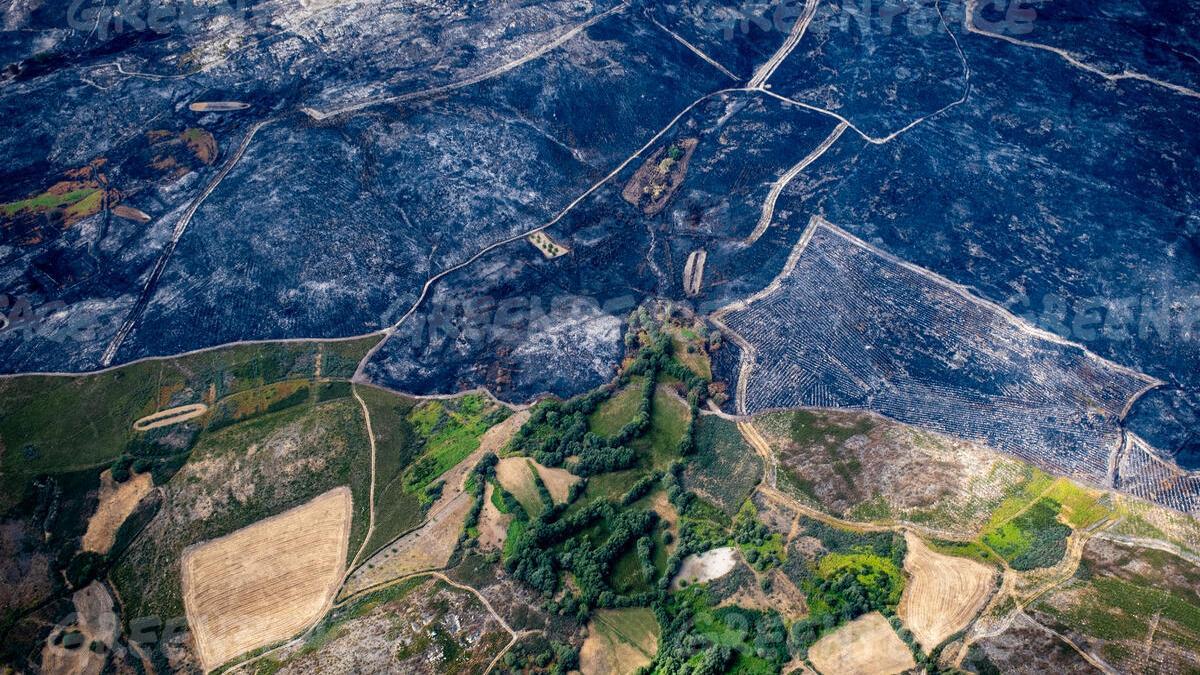 Monte quemado en Vilardevós (Ourense) durante la ola de incendios de agosto.