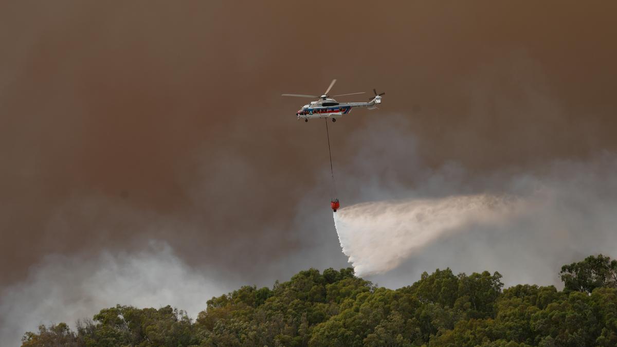 Incendio forestal declarado en el paraje de La Peña, en Tarifa (Cádiz), este martes.