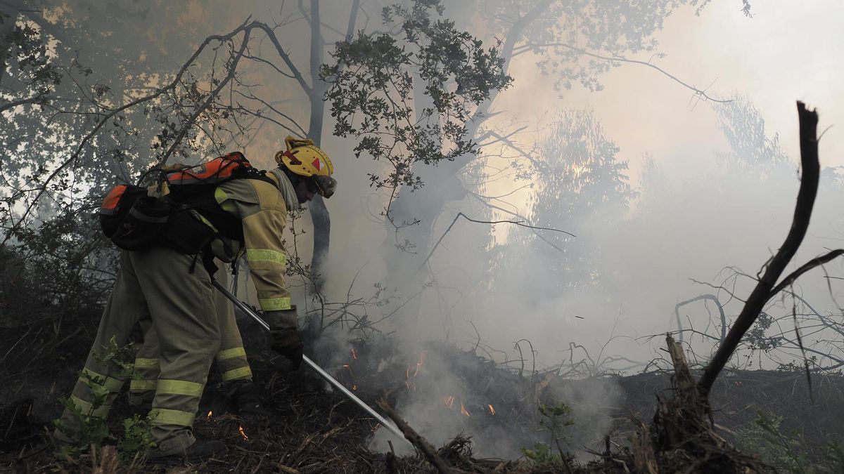 Bomberos forestales y unidades aéreas trabajan en la extinción de un incendio declarado este domingo a media tarde en la Sierra do Careón, en Palas de Rei, Lugo.