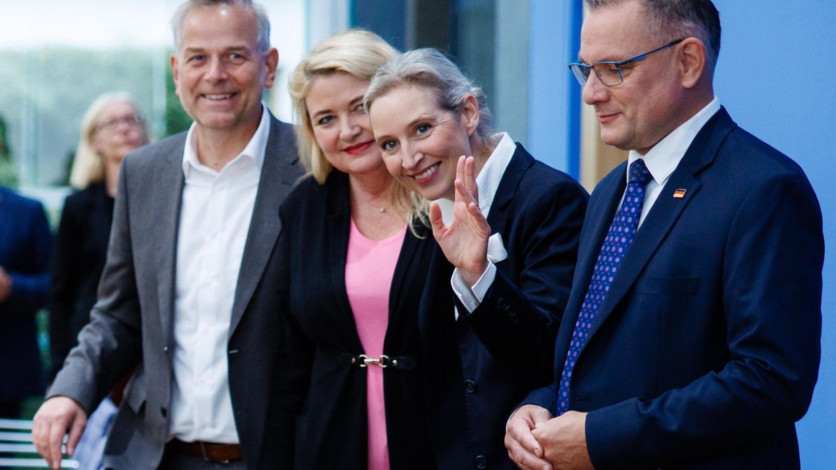 Alemania se divide en las urnas