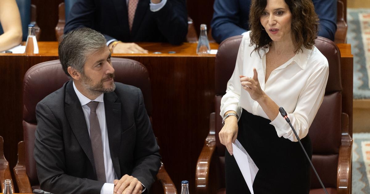 Ayuso y el PP de Madrid se burlan de la detención de la Flotilla a manos de Israel: "Se acabó el crucero"