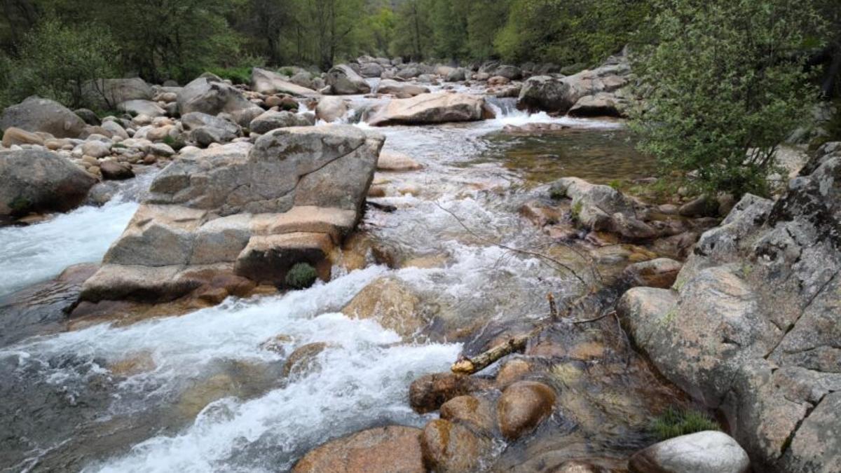 La Directiva Marco del Agua, ¿por qué quieren revisarla?