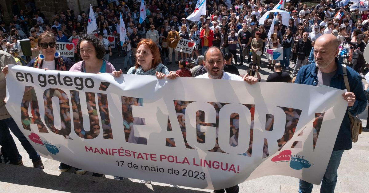 Día das Letras: miles de personas salen a la calle para reivindicar el ...