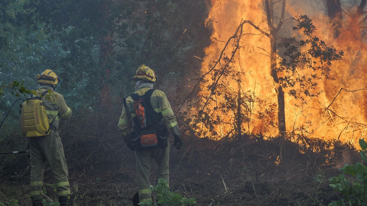 Bomberos forestales y unidades aéreas trabajan en la extinción de un incendio declarado este domingo a media tarde en la Sierra do Careón.