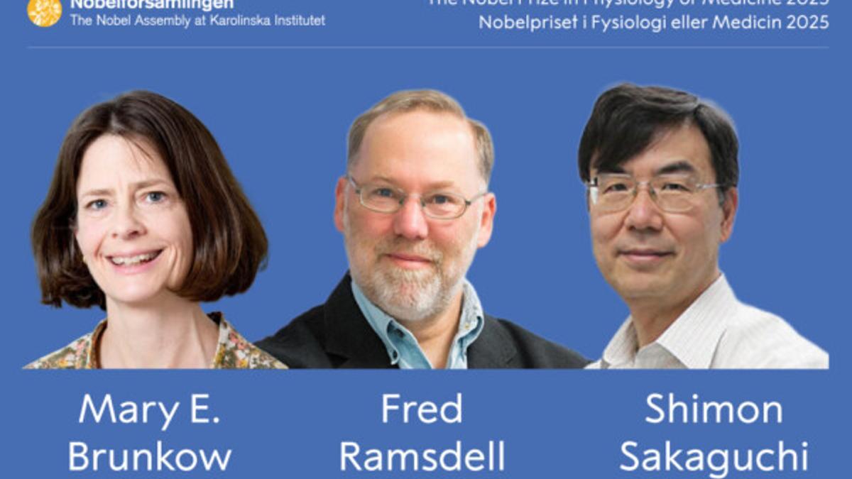 Nobel de Medicina para los científicos que descubrieron los 