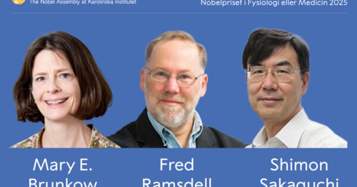 Nobel de Medicina para los científicos que descubrieron los "guardianes del sistema inmunitario"