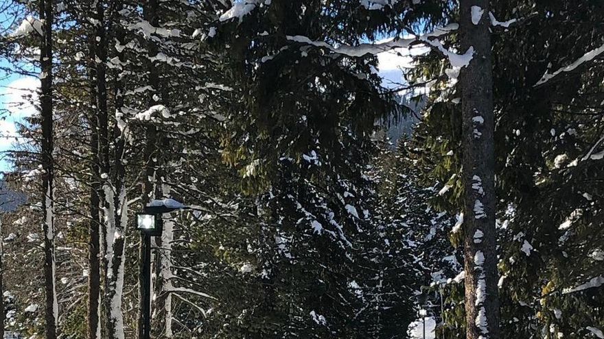 Pedro Sánchez habla este jueves por teléfono en un receso de las sesiones del Foro Económico Mundial que se celebra en Davos.