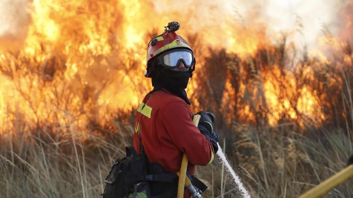Los incendios forestales han calcinado más de ocho millones de hectáreas de bosques en España desde 1961