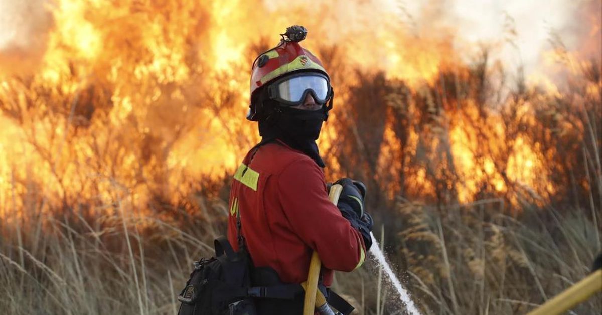 Casi 300.000 hectáreas quemadas hasta el 17 de agosto, según datos del Gobierno