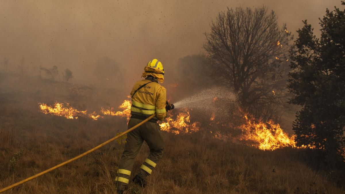 Efectivos de bomberos durante el incendio de la Sierra de la Culebra, a 18 de junio de 2022, en Zamora, Castilla y León (España). Este incendio, que continúa en nivel 2 de riesgo, ha calcinado ya cerca de 20.000 hectáreas en el oeste de la provincia y ha