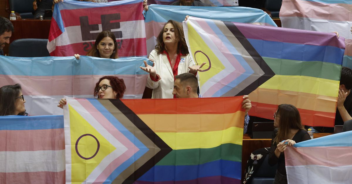 Luz verde al recorte de las leyes LGTBI de Madrid: "Lo único malo de ...