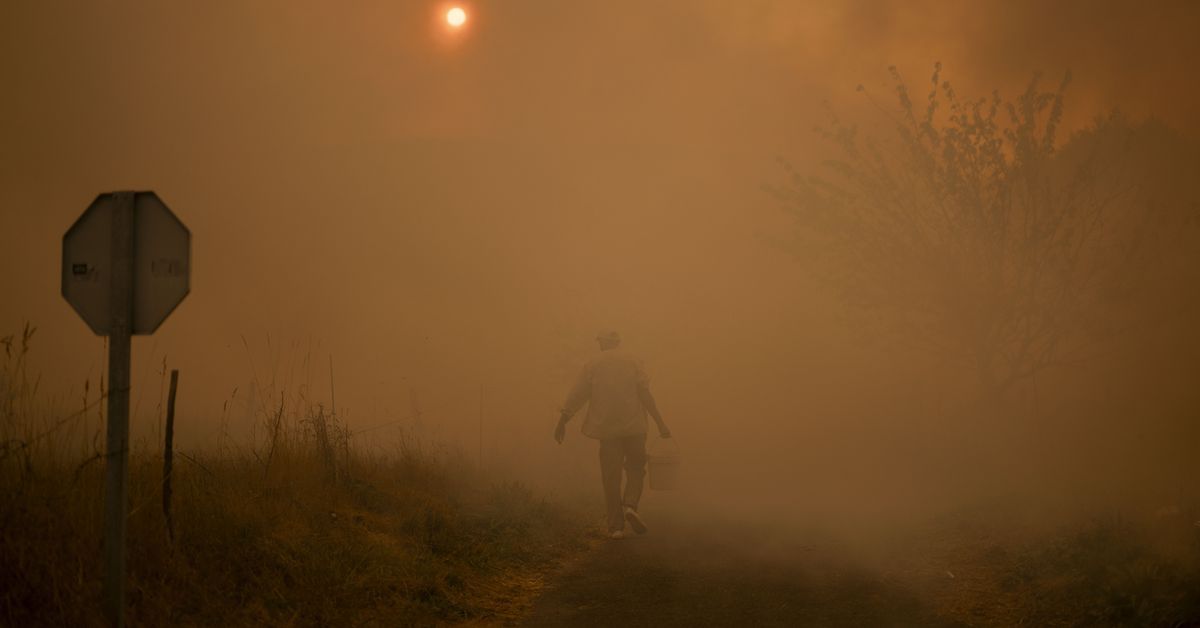 La Xunta tarda casi una semana en prohibir la caza en Ourense mientras la permite en el resto de Galicia