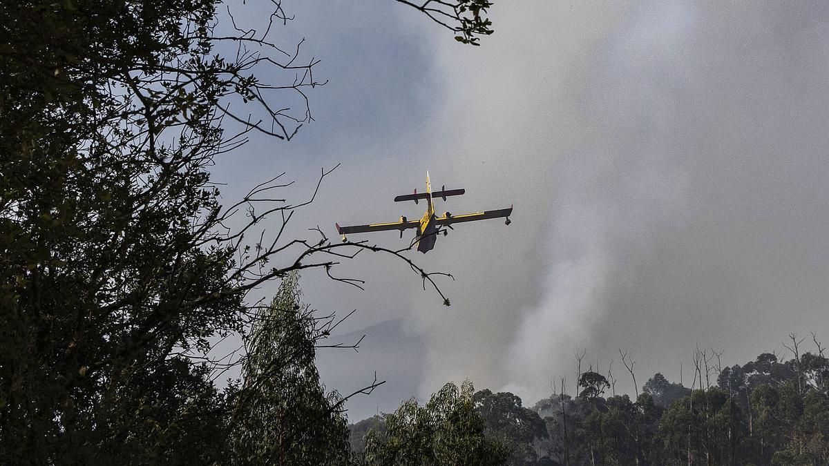 Diecinueve incendios permanecen activos en Castilla y León, Extremadura y Galicia